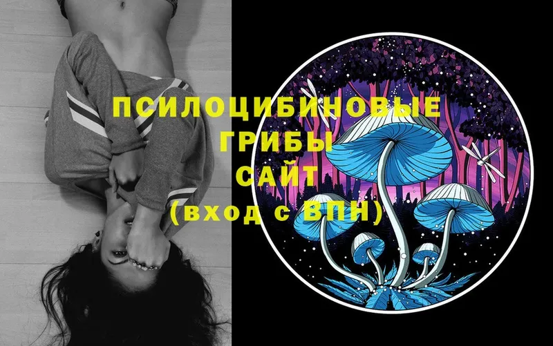 Галлюциногенные грибы Magic Shrooms  Ишимбай 